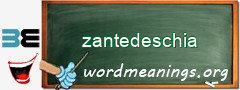 WordMeaning blackboard for zantedeschia